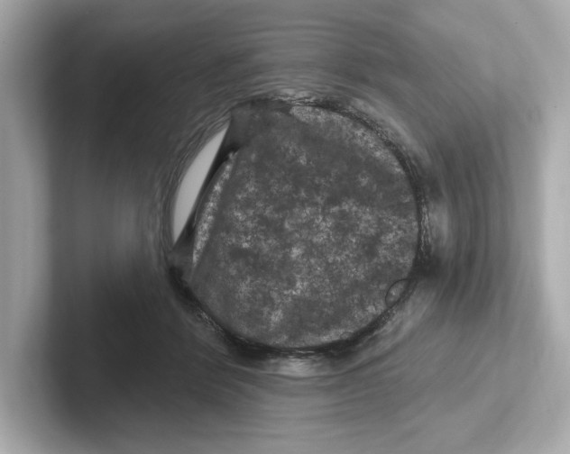 X0000101090412200807241012
