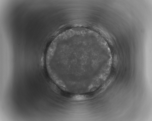 X0000101090413200807241012