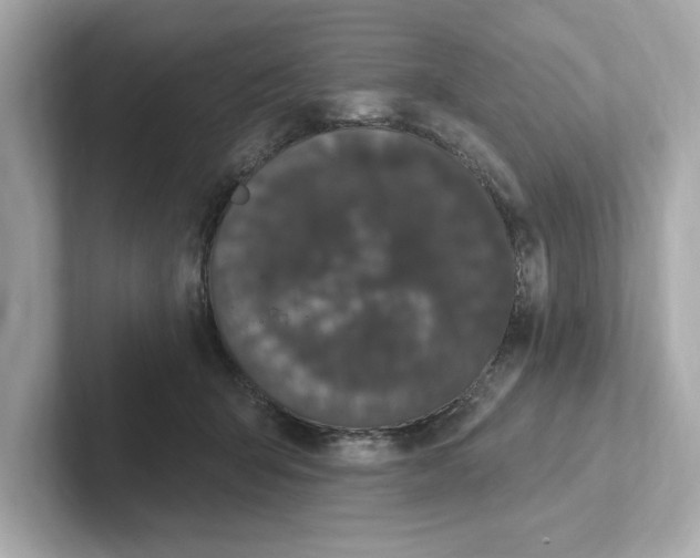 X0000101090415200807241012