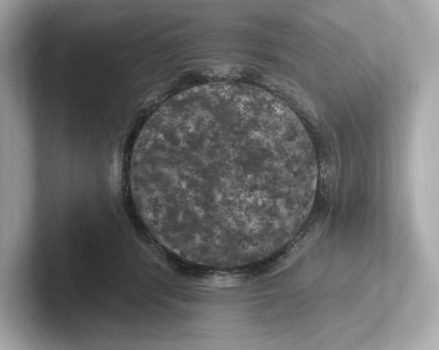 X0000101090416200807241012