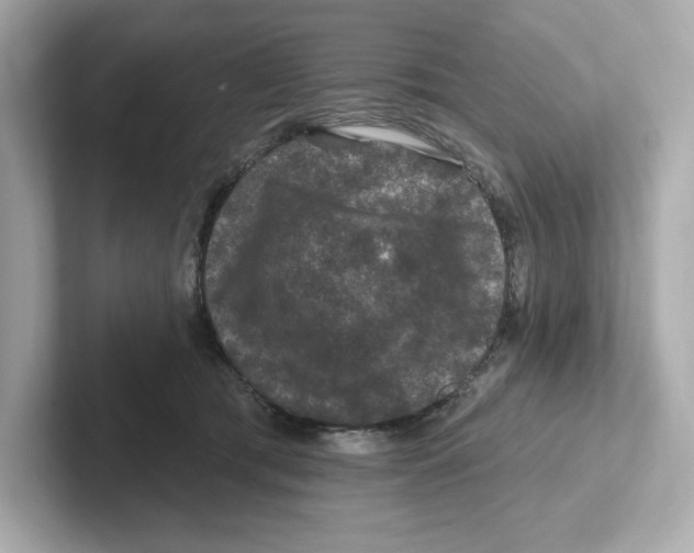 X0000101090417200807241012