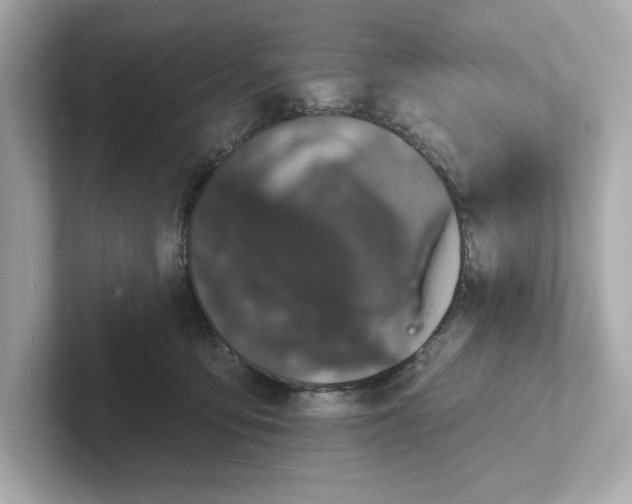 X0000101090419200807241012