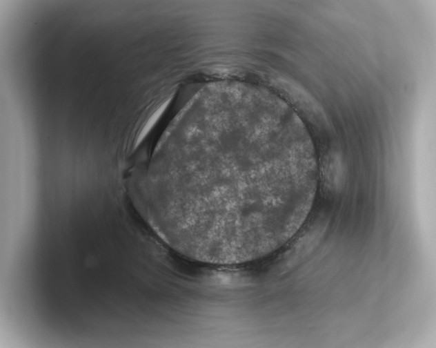 X0000101090420200807241012