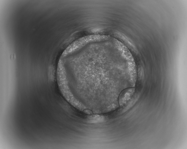 X0000101090421200807241012