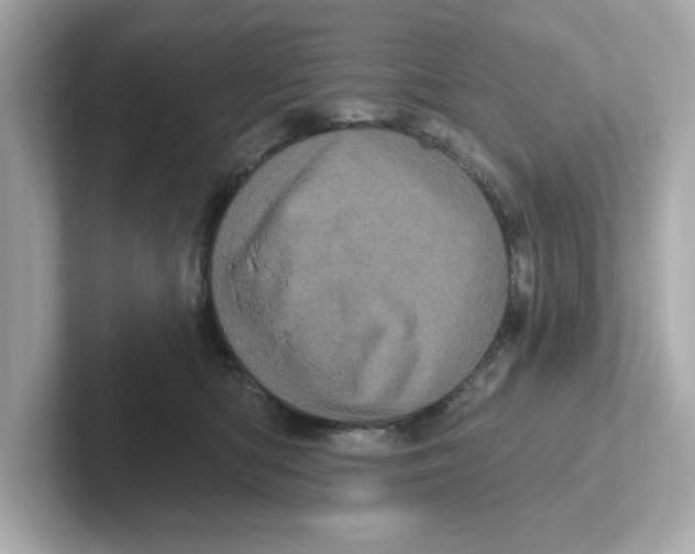 X0000101090422200807241012
