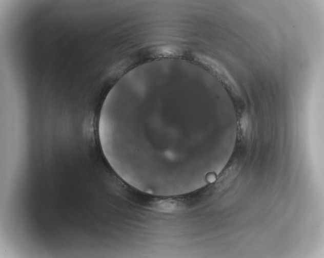 X0000101090423200807241012