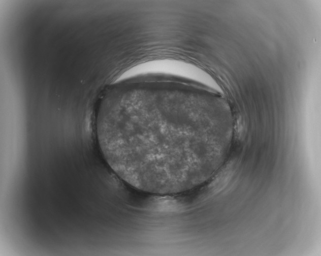 X0000101090424200807241012
