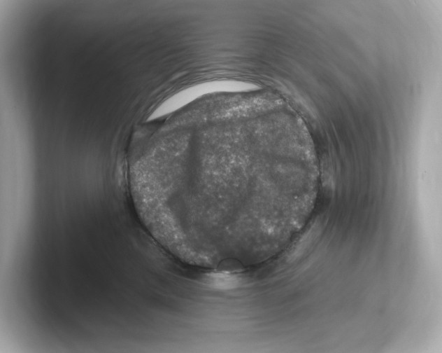 X0000101090425200807241012