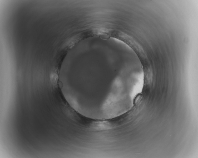 X0000101090427200807241011