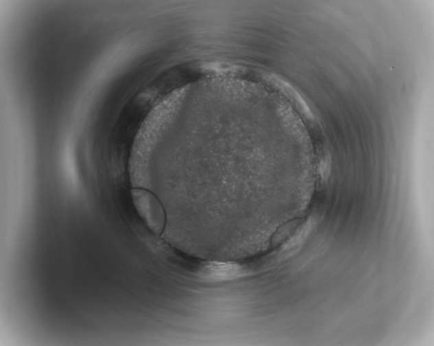 X0000101090429200807241011