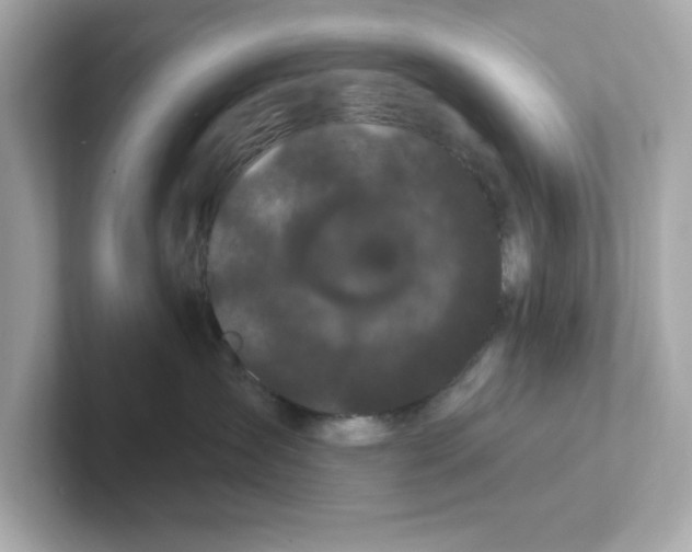 X0000101090431200807241011