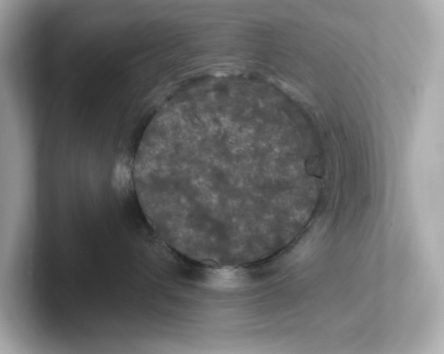 X0000101090432200807241011