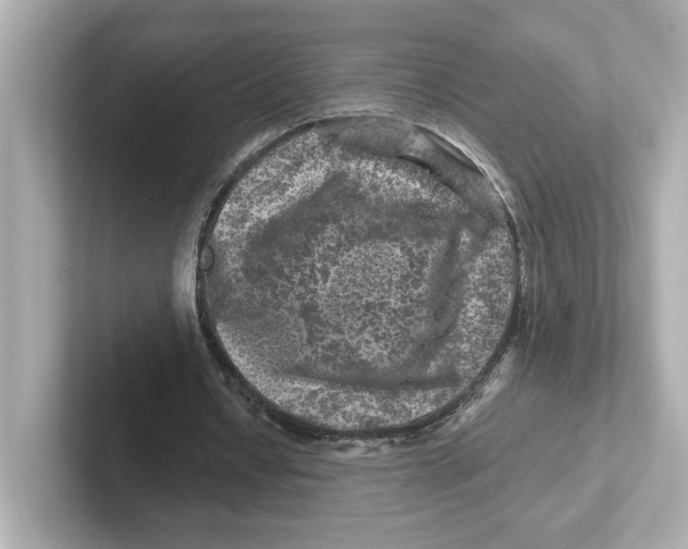 X0000101090434200807241011