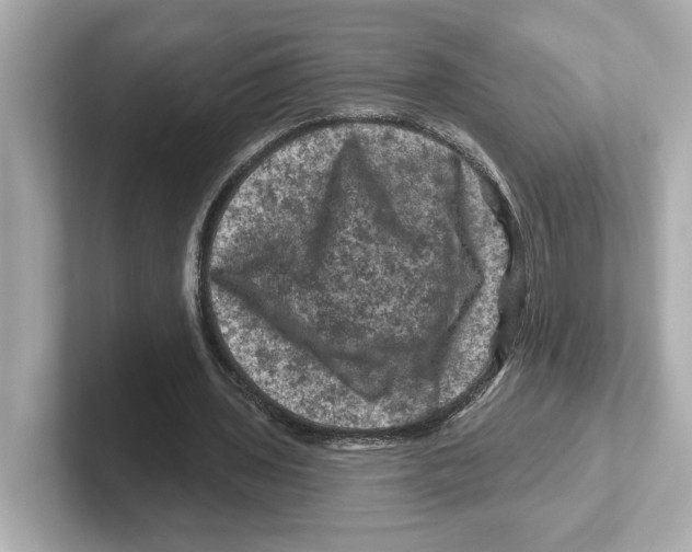 X0000101090435200807241011
