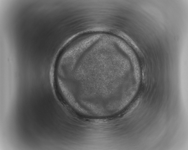 X0000101090436200807241011