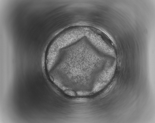 X0000101090437200807241011