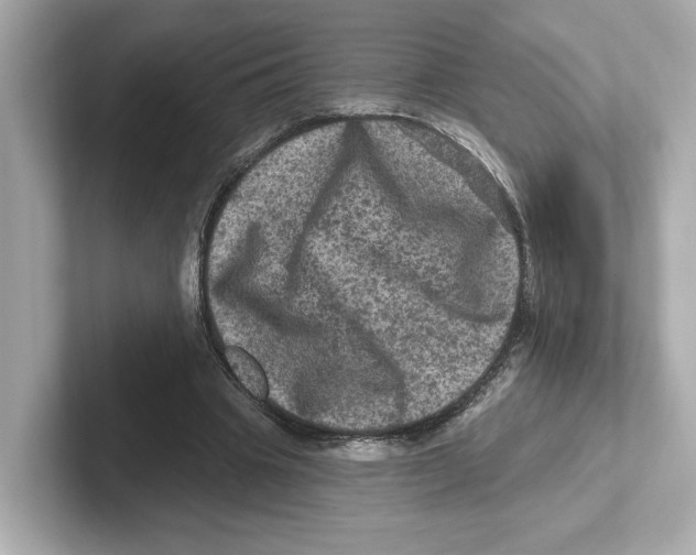 X0000101090441200807241011