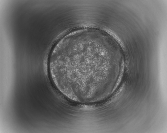X0000101090442200807241011