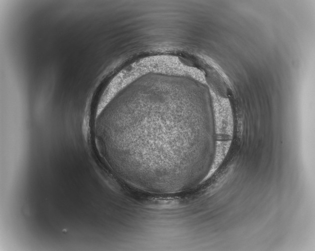 X0000101090443200807241011