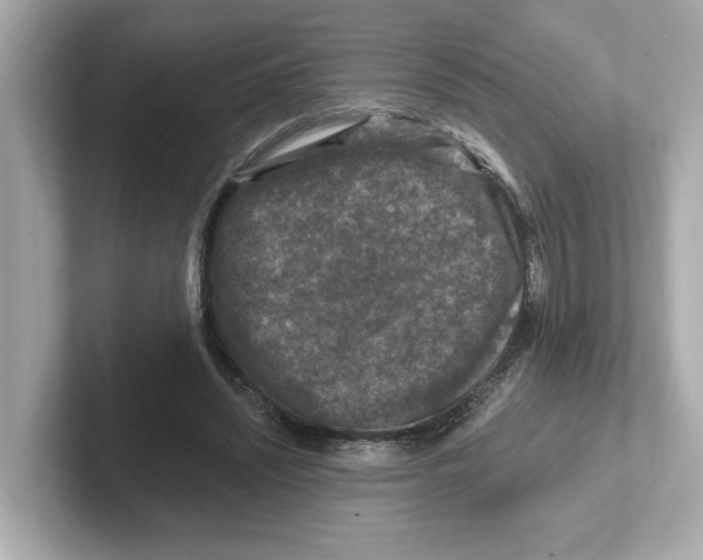 X0000101090444200807241011