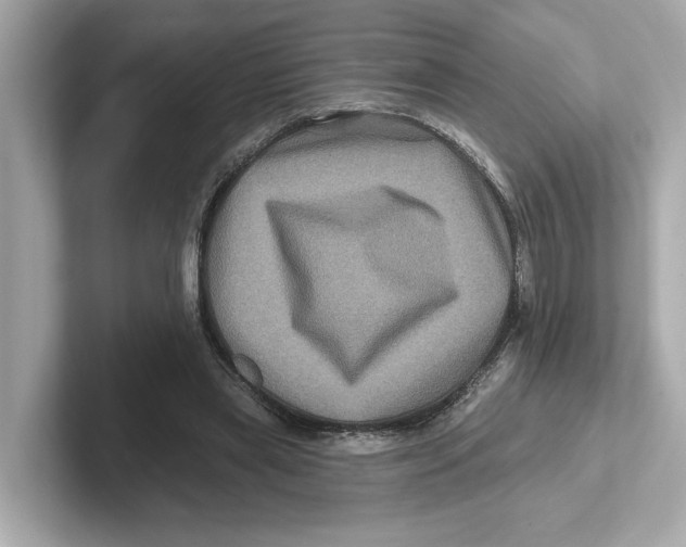 X0000101090445200807241011