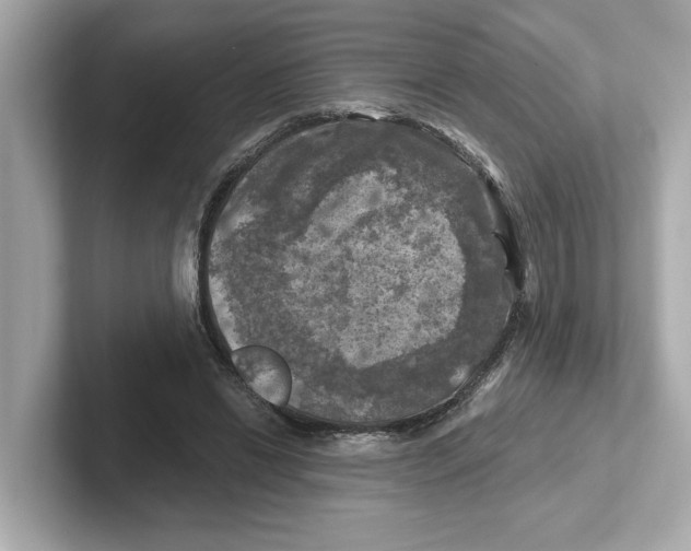 X0000101090446200807241011