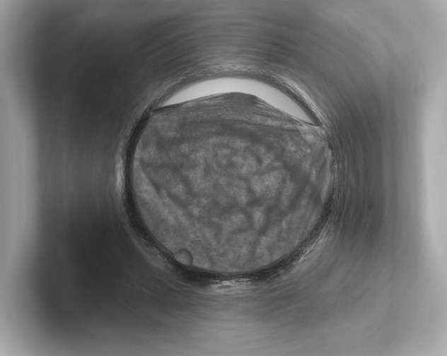 X0000101090447200807241011