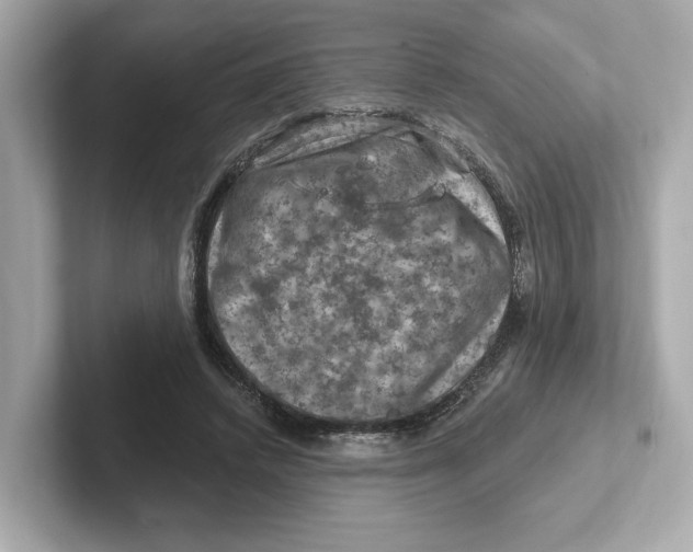 X0000101090448200807241011