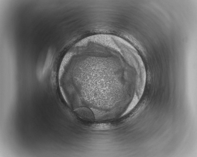 X0000101090449200807241011