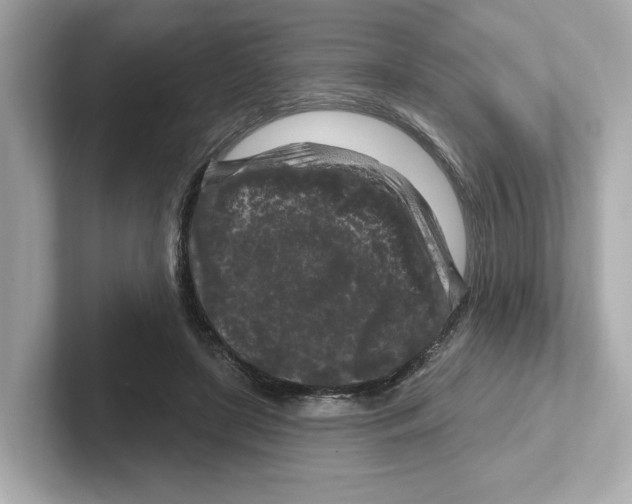 X0000101090451200807241011