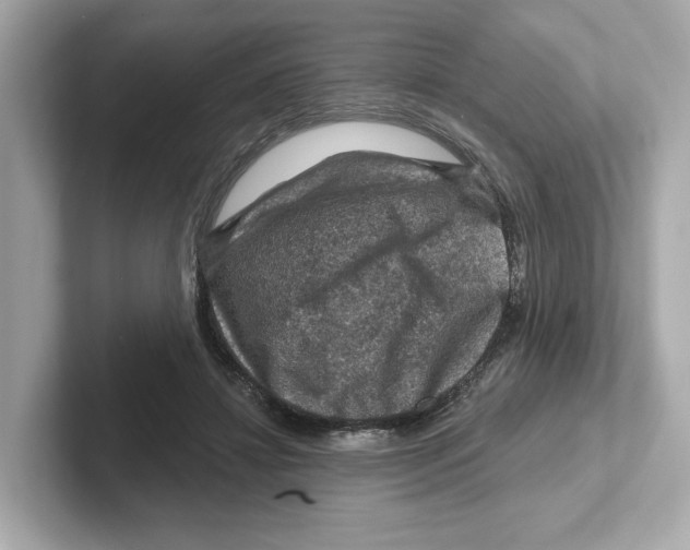 X0000101090452200807241011