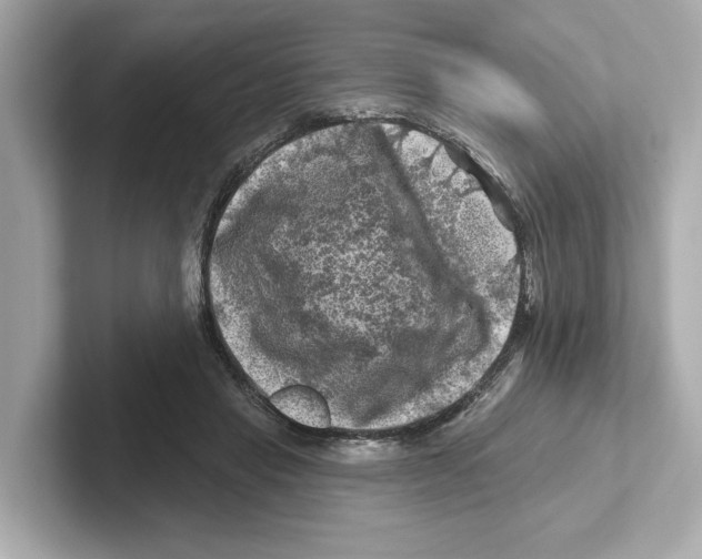 X0000101090453200807241011