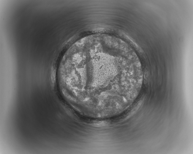X0000101090454200807241011