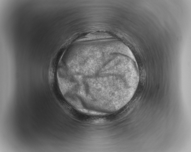 X0000101090456200807241011