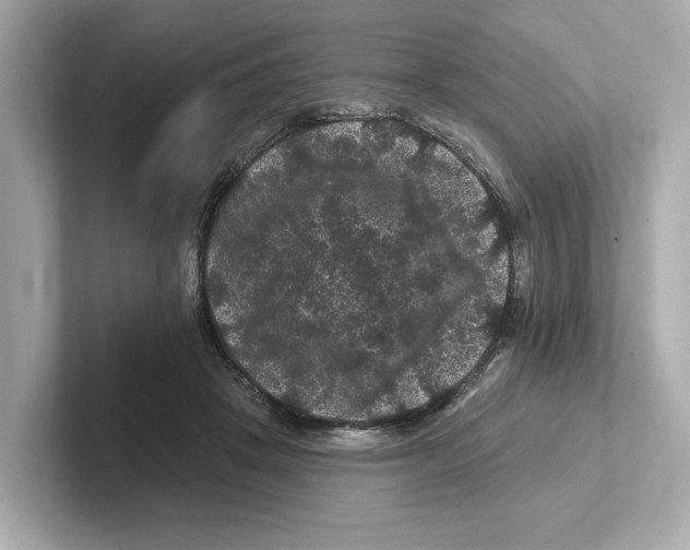X0000101090457200807241011