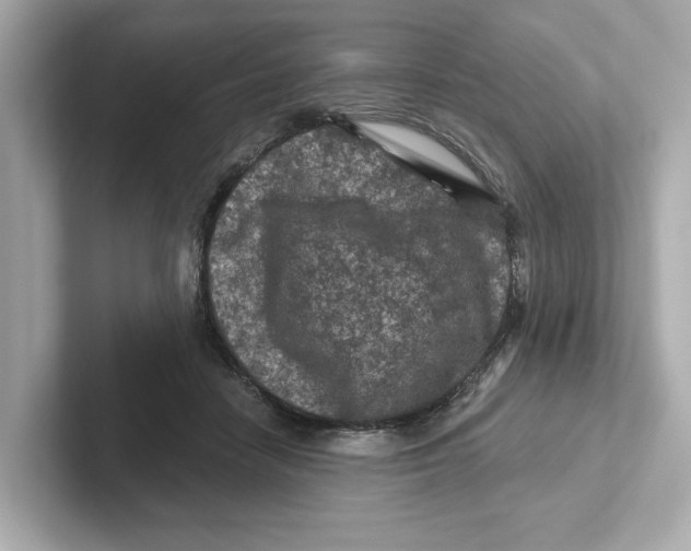 X0000101090458200807241011
