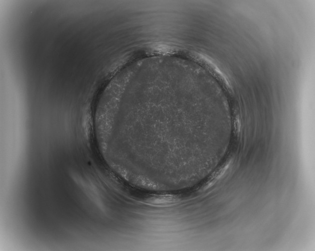 X0000101090459200807241011