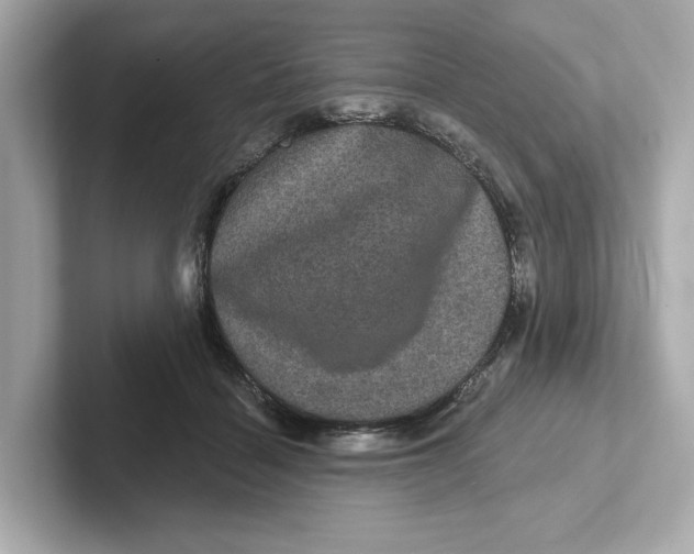 X0000101090460200807241011