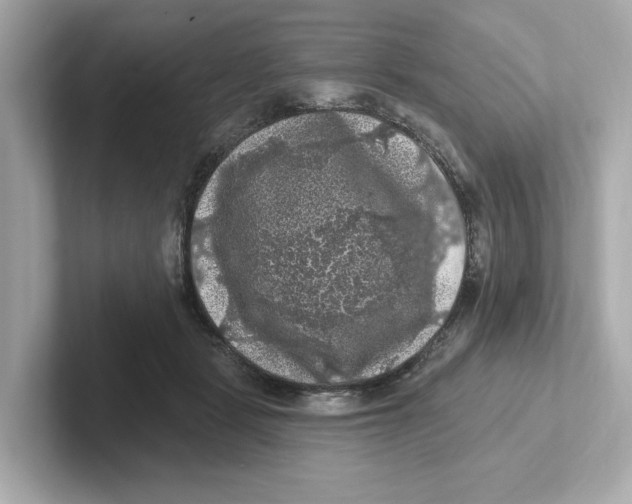 X0000101090461200807241011