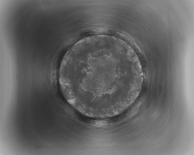 X0000101090462200807241011