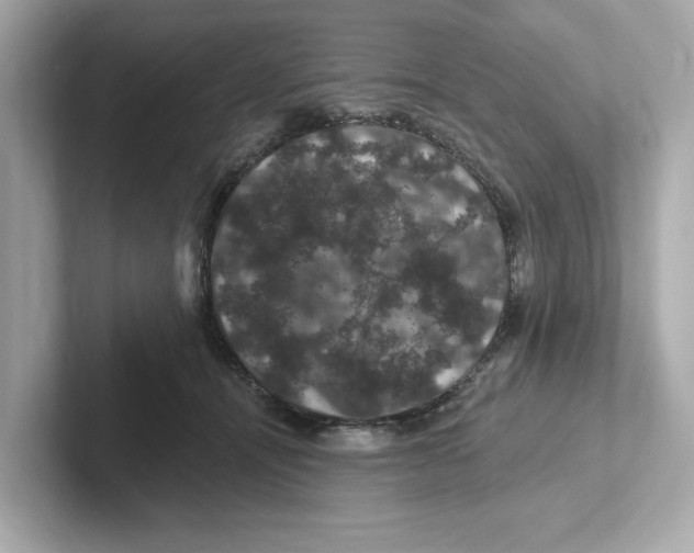 X0000101090464200807241011