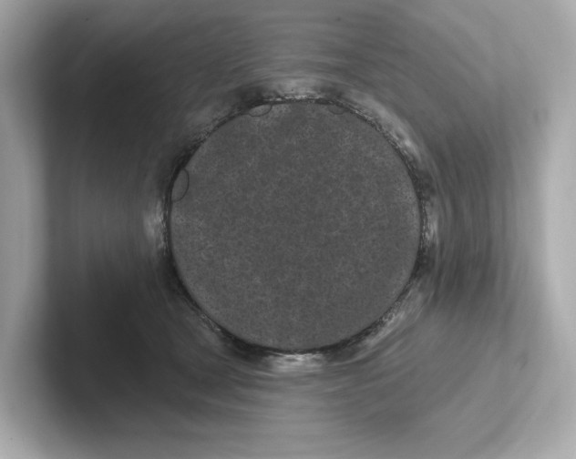 X0000101090465200807241011