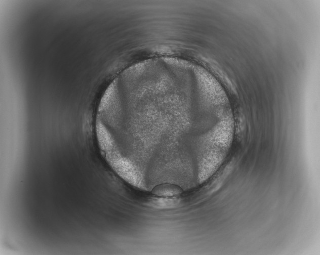 X0000101090466200807241011