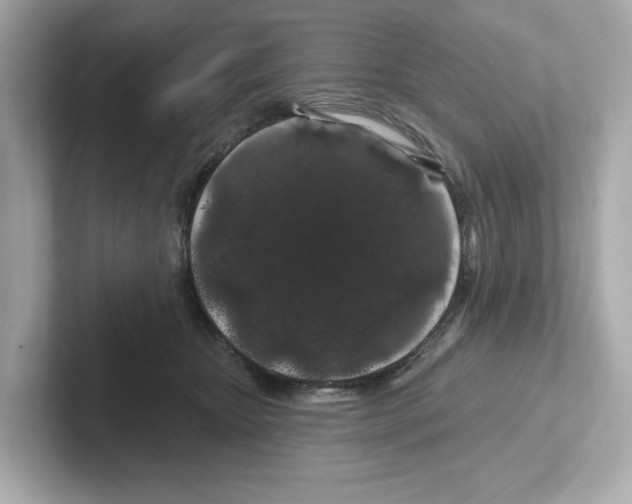 X0000101090467200807241011