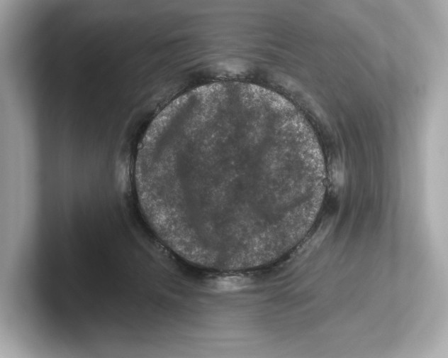 X0000101090468200807241011
