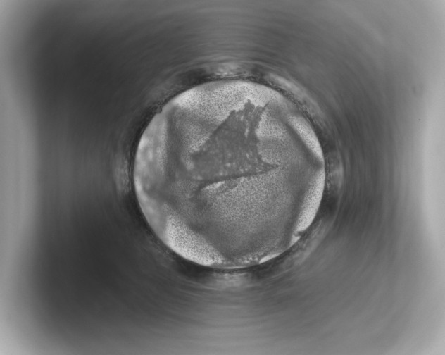 X0000101090469200807241011