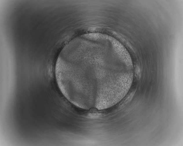 X0000101090470200807241011