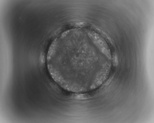 X0000101090472200807241011