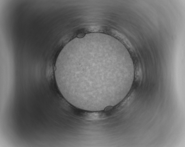 X0000101090473200807241011
