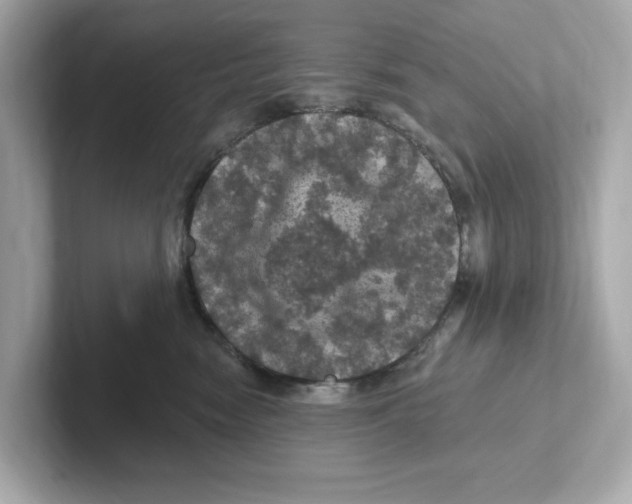 X0000101090474200807241011